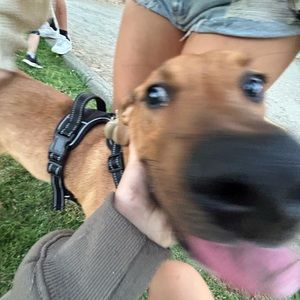 Meet your Posher, Alexis